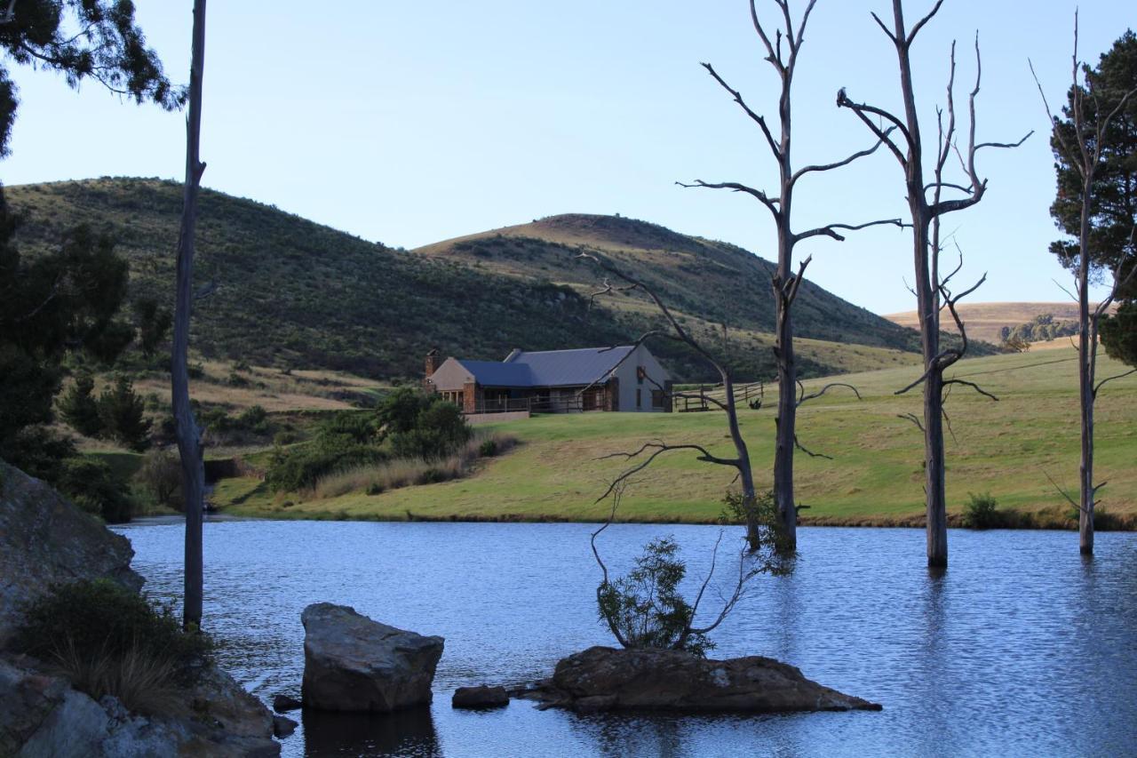 Wetlands Game Lodge Wakkerstroom Kültér fotó