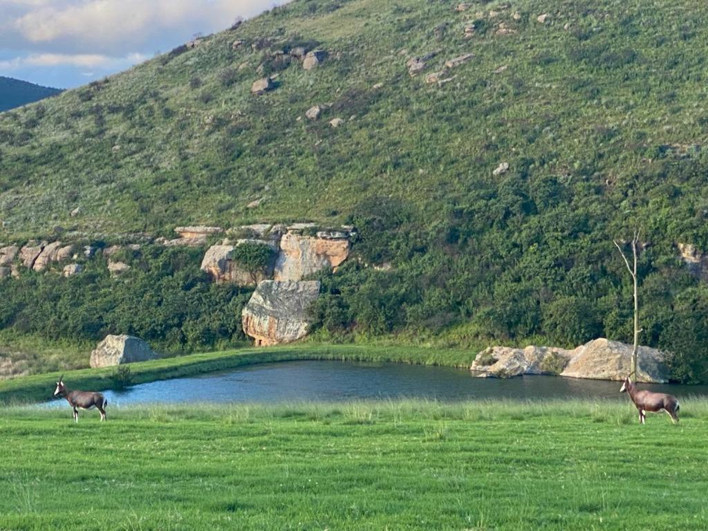 Wetlands Game Lodge Wakkerstroom Kültér fotó
