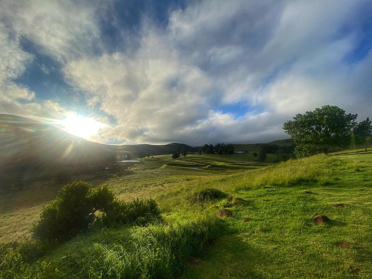 Wetlands Game Lodge Wakkerstroom Kültér fotó
