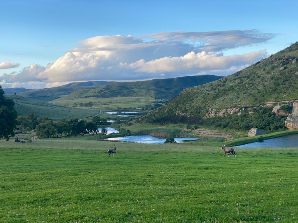 Wetlands Game Lodge Wakkerstroom Kültér fotó